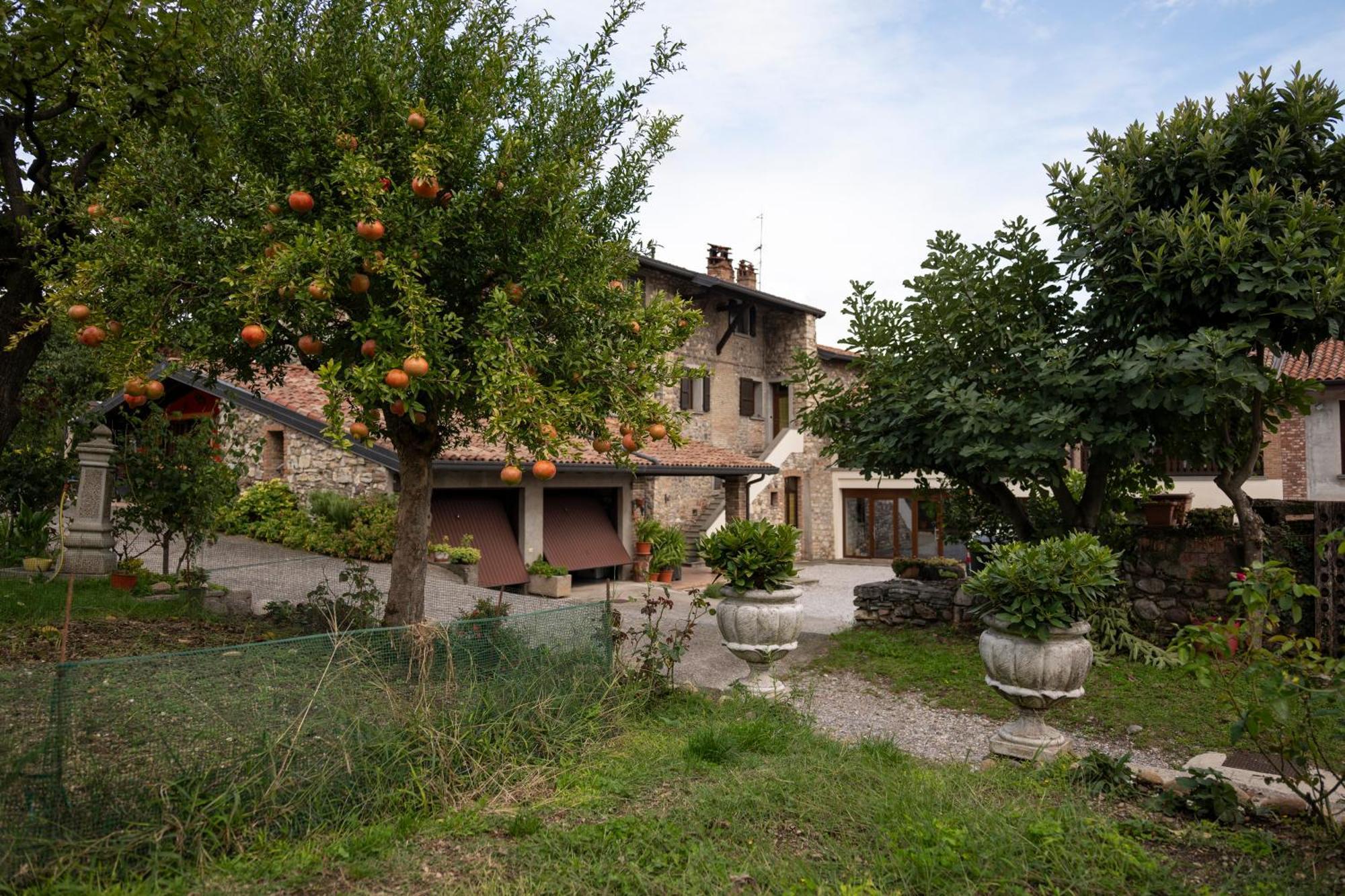 La Terrazza Sulle Vigne B&B Corte Franca Exterior foto