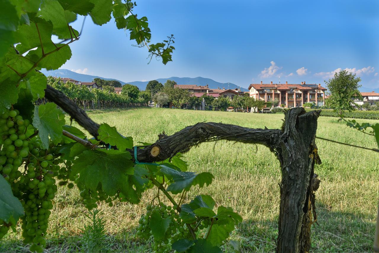 La Terrazza Sulle Vigne B&B Corte Franca Exterior foto